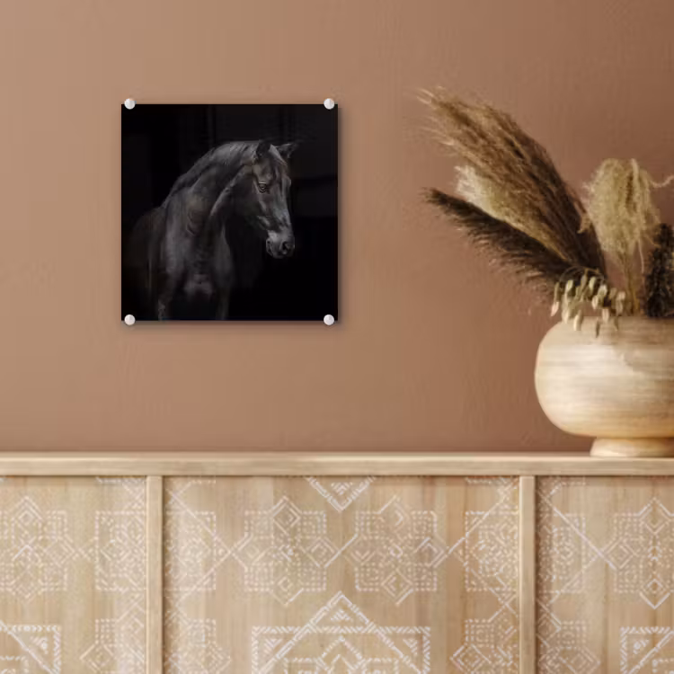 Paard - Dieren - Zwart - Portret plexiglas 5mm klein -sfeer5