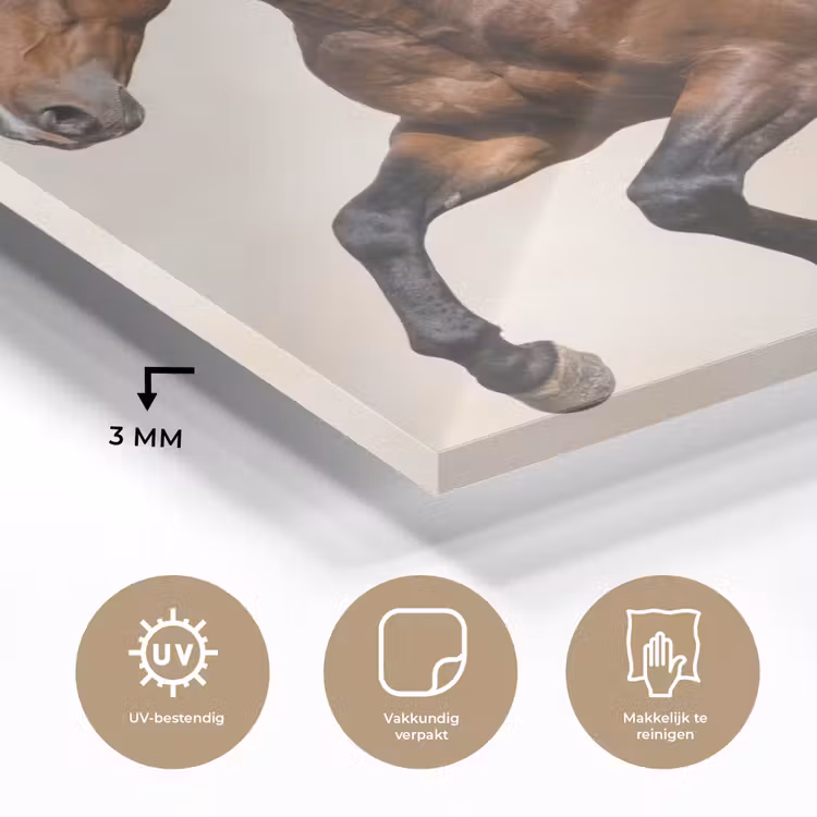 Paard - Galop - Energie plexiglas 5mm klein -sfeer2