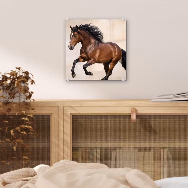 Paard - Galop - Energie plexiglas 5mm klein -sfeer4