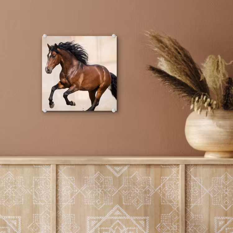 Paard - Galop - Energie plexiglas 5mm klein -sfeer5