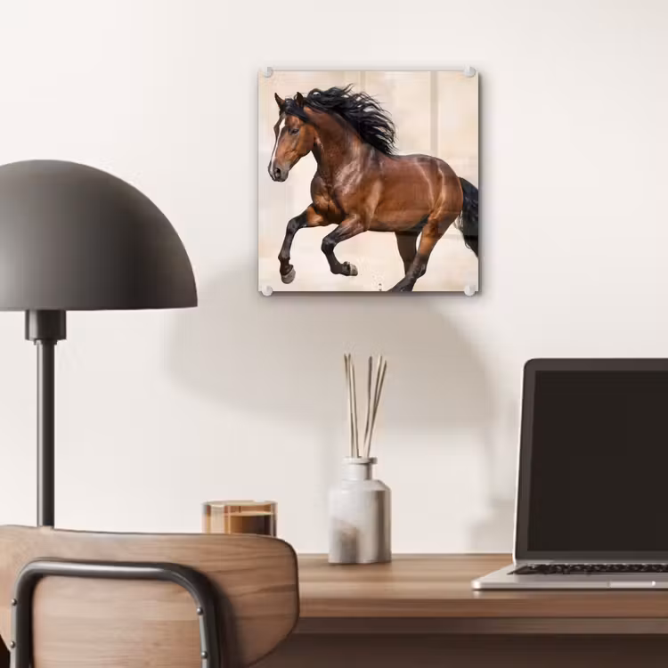 Paard - Galop - Energie plexiglas 5mm klein -sfeer6