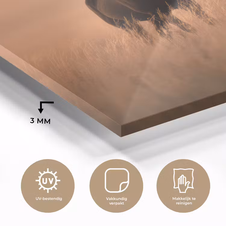 Paard - Grasveld - Zonsondergang plexiglas 5mm klein -sfeer2