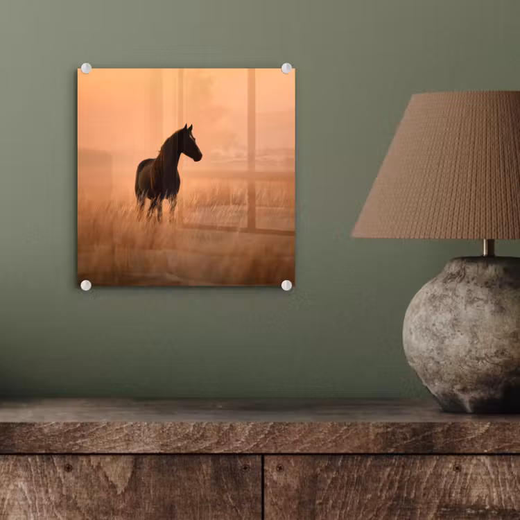Paard - Grasveld - Zonsondergang plexiglas 5mm klein -sfeer3