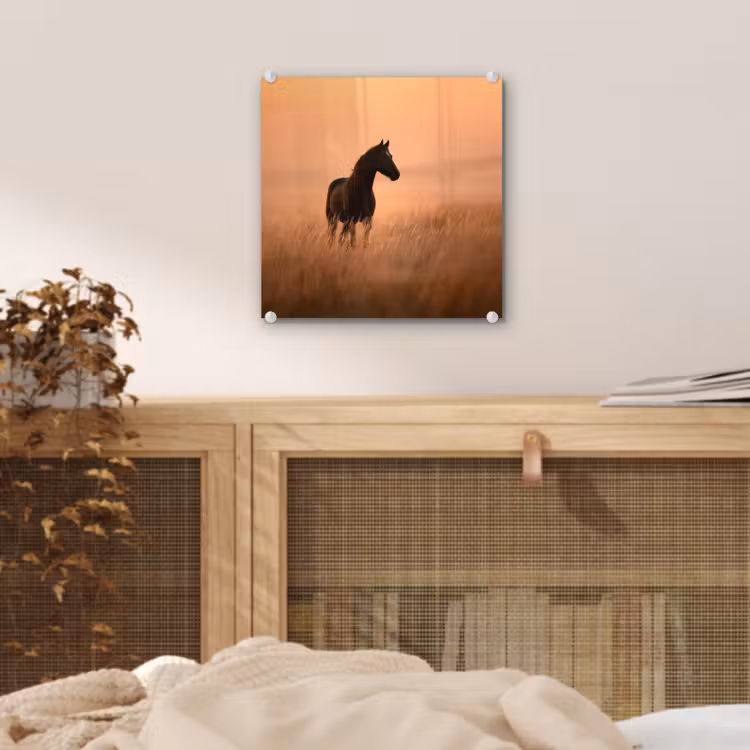 Paard - Grasveld - Zonsondergang plexiglas 5mm klein -sfeer4