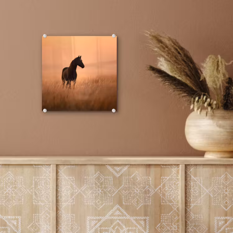Paard - Grasveld - Zonsondergang plexiglas 5mm klein -sfeer5