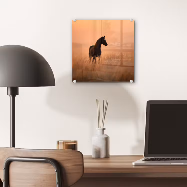 Paard - Grasveld - Zonsondergang plexiglas 5mm klein -sfeer6
