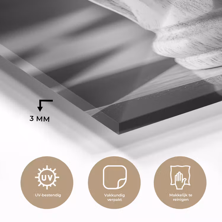 Paard - Hout - Schaalbord - Zwart plexiglas 5mm klein -sfeer2