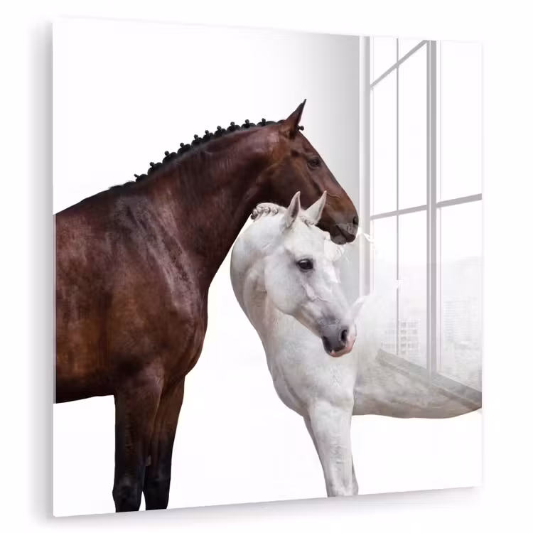Paard - Modern - Balans plexiglas 5mm klein -zzzproduct_nieuw