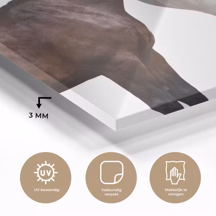 Paard - Modern - Balans plexiglas 5mm klein -sfeer2