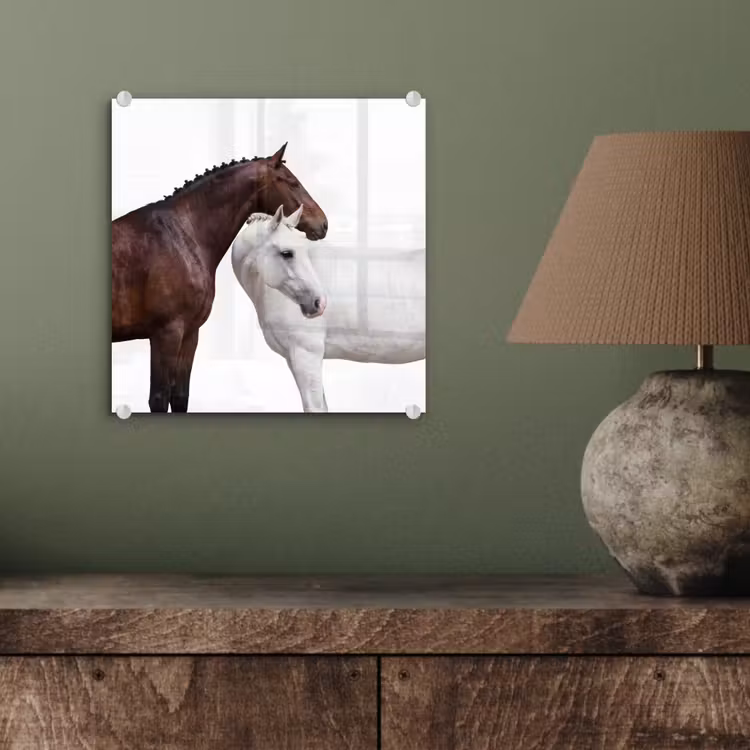 Paard - Modern - Balans plexiglas 5mm klein -sfeer3