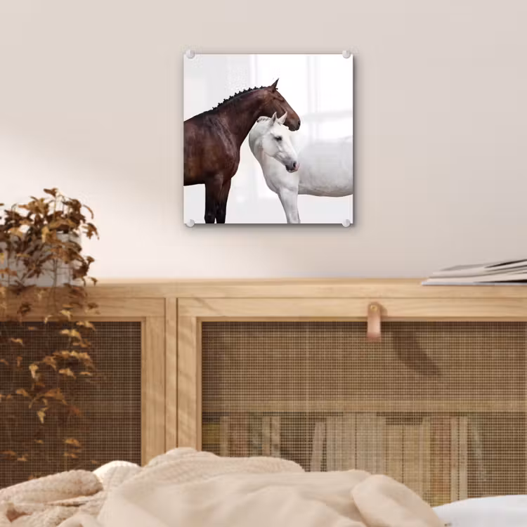 Paard - Modern - Balans plexiglas 5mm klein -sfeer4