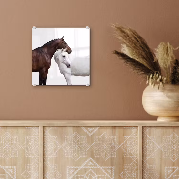 Paard - Modern - Balans plexiglas 5mm klein -sfeer5