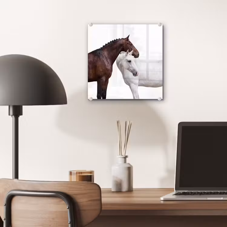 Paard - Modern - Balans plexiglas 5mm klein -sfeer6