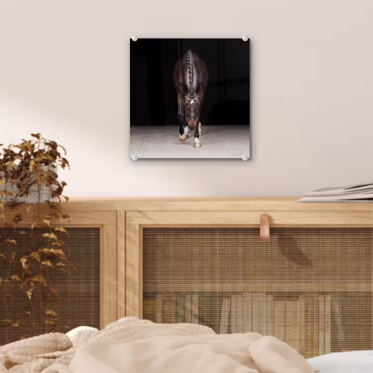 Paard - Modern - Portret plexiglas 5mm klein -sfeer4