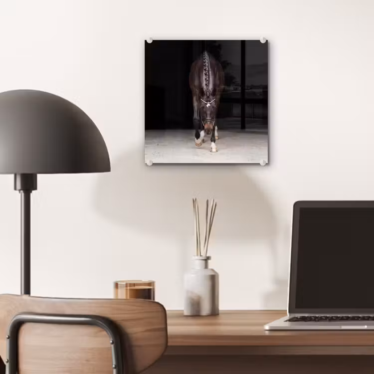Paard - Modern - Portret plexiglas 5mm klein -sfeer6