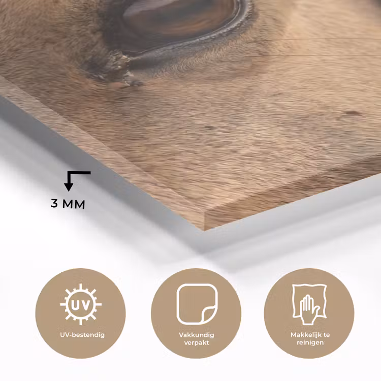 Paard - Oog - Bruin plexiglas 5mm klein -sfeer2