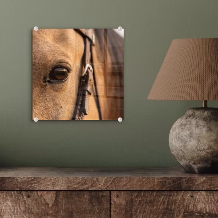 Paard - Oog - Bruin plexiglas 5mm klein -sfeer3