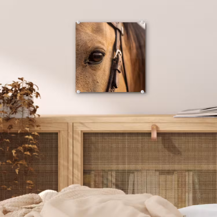 Paard - Oog - Bruin plexiglas 5mm klein -sfeer4