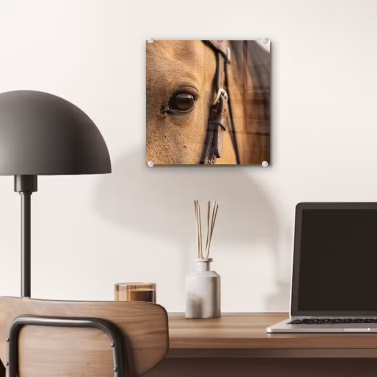 Paard - Oog - Bruin plexiglas 5mm klein -sfeer6