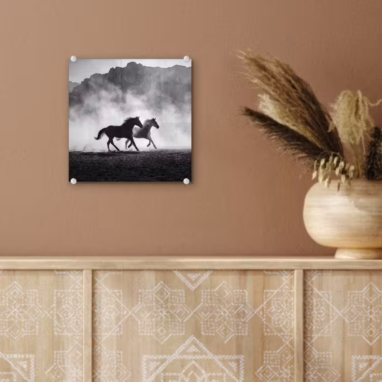 Paard - Ren - Stof - Zwart-wit - Dieren plexiglas 5mm klein -sfeer5