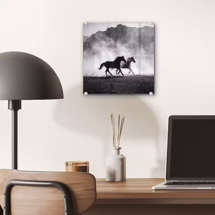 Paard - Ren - Stof - Zwart-wit - Dieren plexiglas 5mm klein -sfeer6