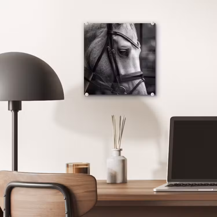 Paard - Schimmel - Portret plexiglas 5mm klein -sfeer6