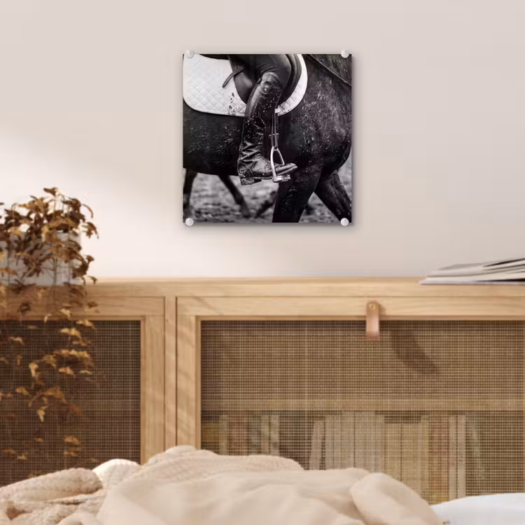 Paard - Sport - Zwart - Wit plexiglas 5mm klein -sfeer4