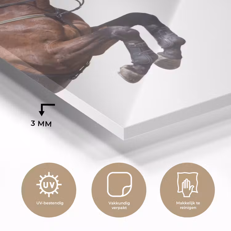 Paard - Springen - Modern plexiglas 5mm klein -sfeer2