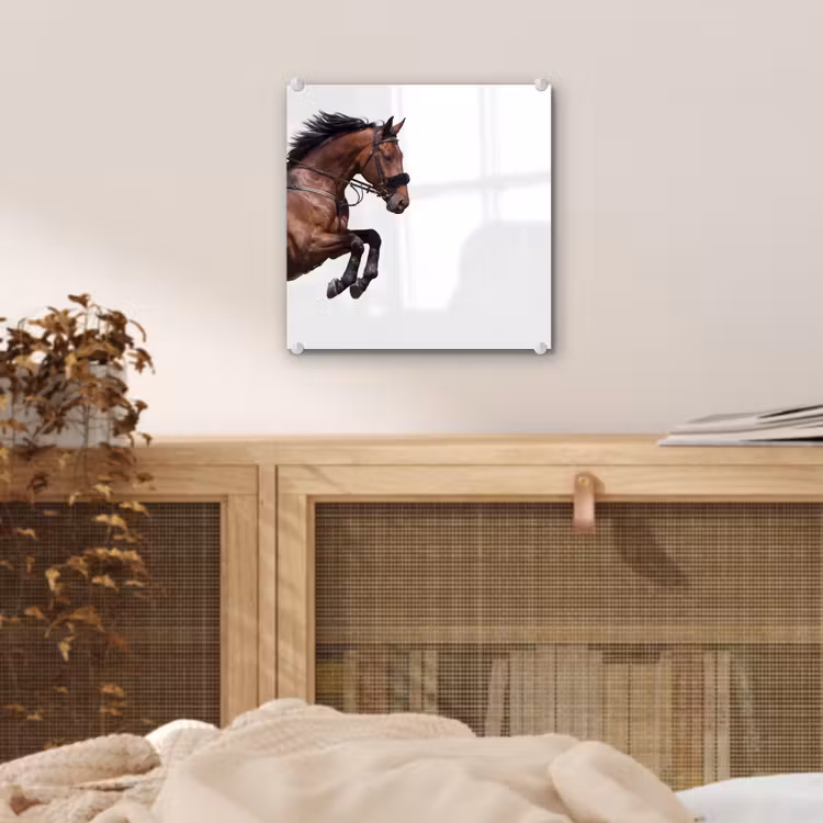 Paard - Springen - Modern plexiglas 5mm klein -sfeer4