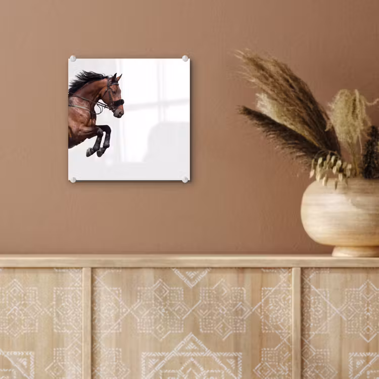 Paard - Springen - Modern plexiglas 5mm klein -sfeer5