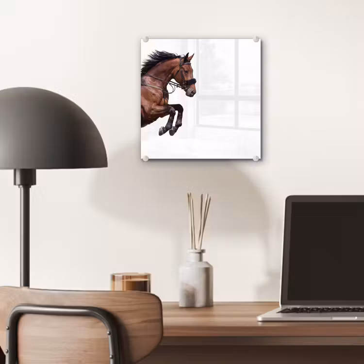Paard - Springen - Modern plexiglas 5mm klein -sfeer6