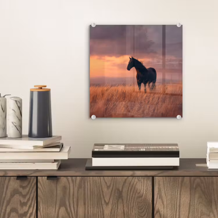 Paard - Wolken - Open veld plexiglas 5mm klein -sfeer1