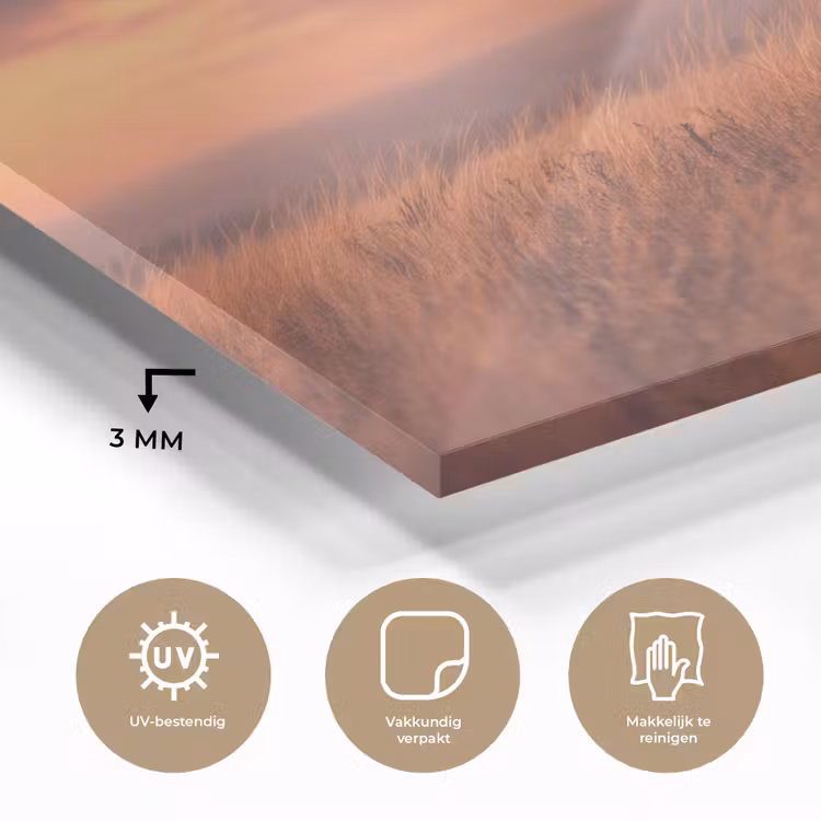 Paard - Wolken - Open veld plexiglas 5mm klein -sfeer2