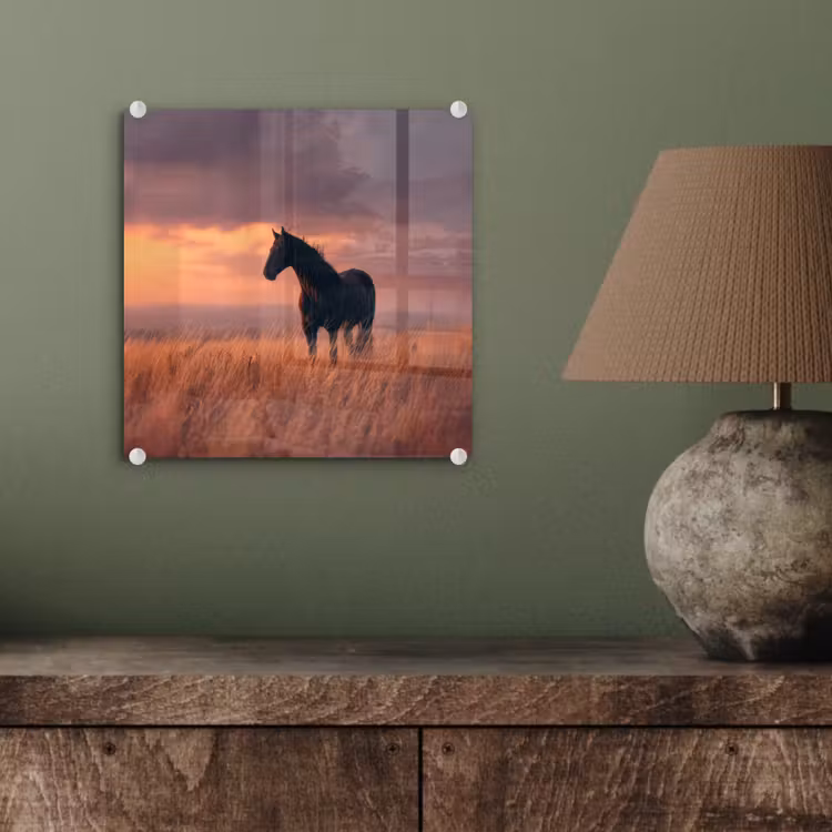Paard - Wolken - Open veld plexiglas 5mm klein -sfeer3