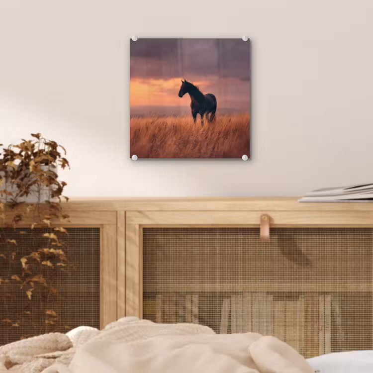 Paard - Wolken - Open veld plexiglas 5mm klein -sfeer4