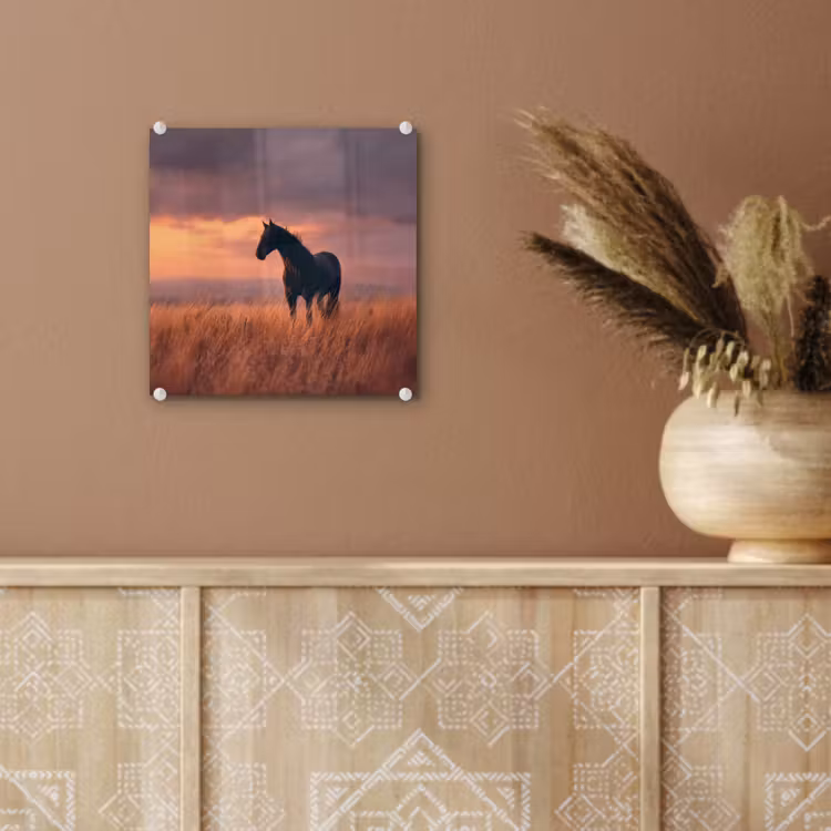 Paard - Wolken - Open veld plexiglas 5mm klein -sfeer5