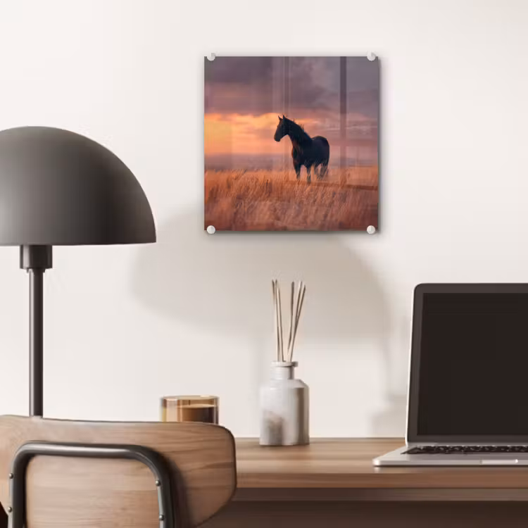 Paard - Wolken - Open veld plexiglas 5mm klein -sfeer6