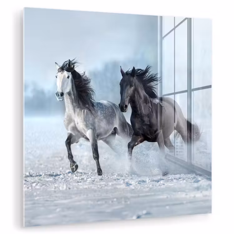 Paarden - Winter - Dieren - Natuur - Sneeuw plexiglas 5mm klein -zzzproduct_nieuw