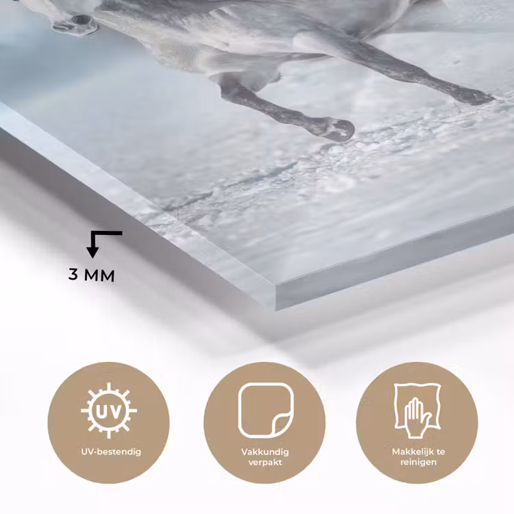 Paarden - Winter - Dieren - Natuur - Sneeuw plexiglas 5mm klein -sfeer2