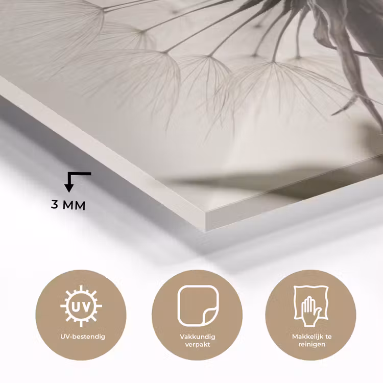 Paardenbloem - Minimalistisch - Wit plexiglas 5mm klein -sfeer2