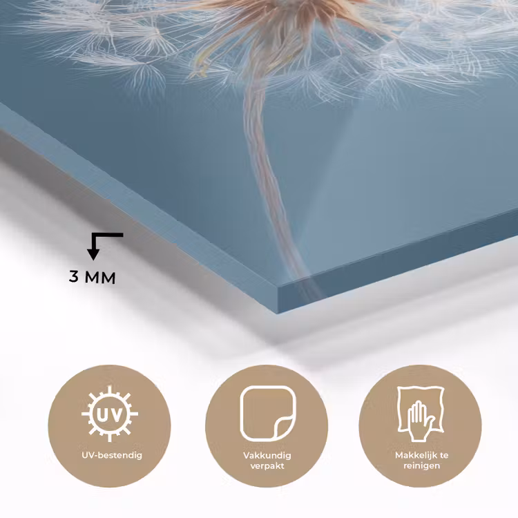 Paardenbloem - Wind - Blauw plexiglas 5mm klein -sfeer2
