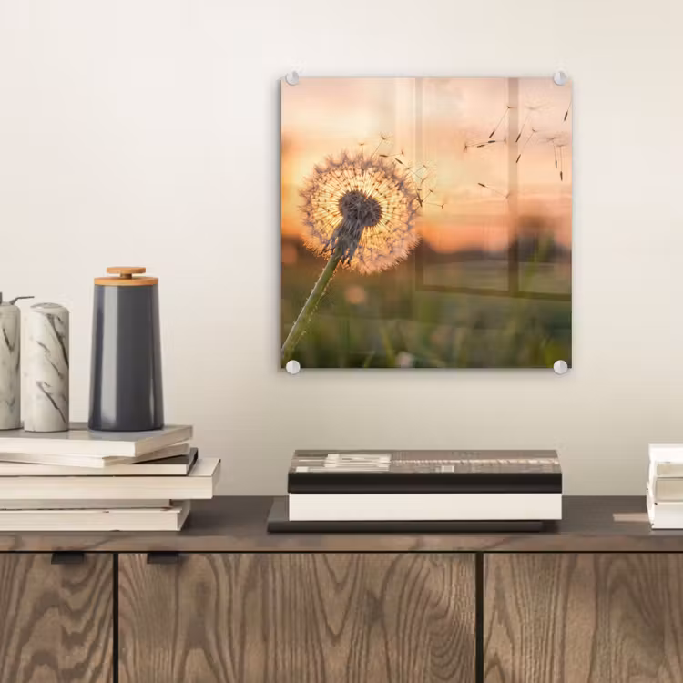 Paardenbloem - Zonsondergang - Veld plexiglas 5mm klein -sfeer1