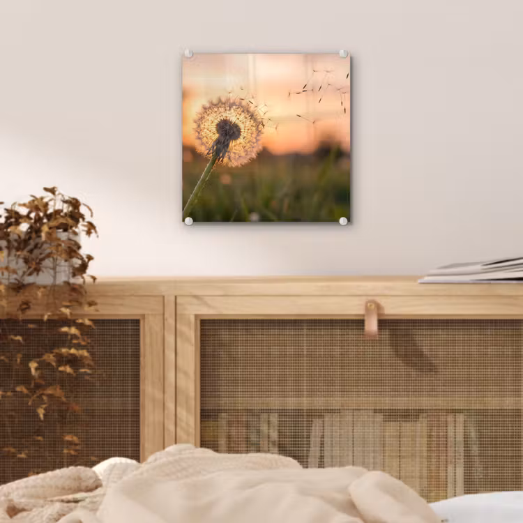 Paardenbloem - Zonsondergang - Veld plexiglas 5mm klein -sfeer4