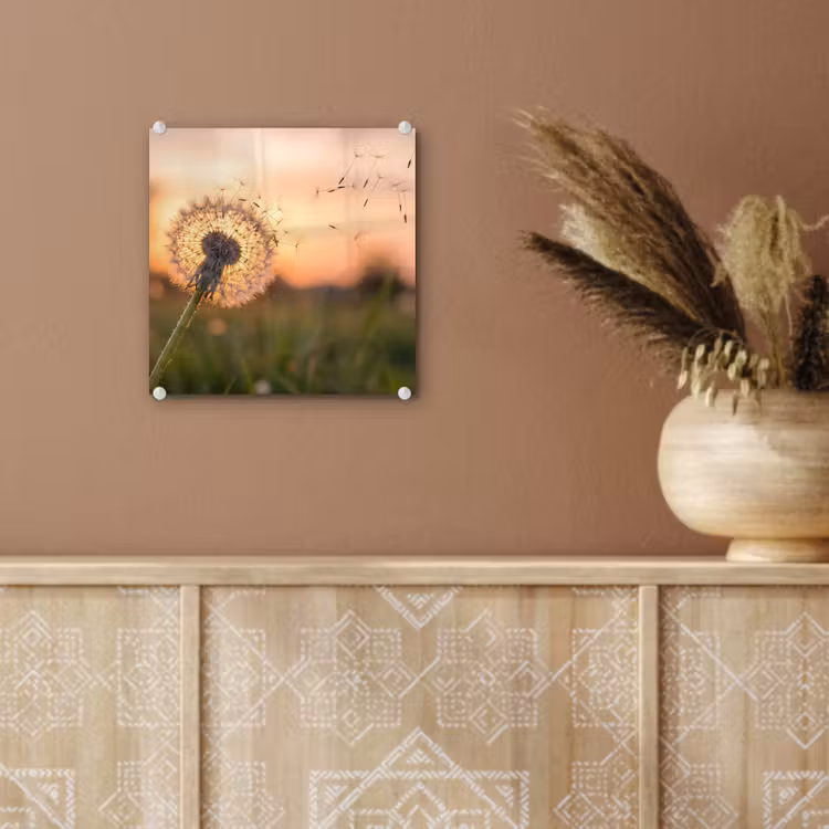 Paardenbloem - Zonsondergang - Veld plexiglas 5mm klein -sfeer5