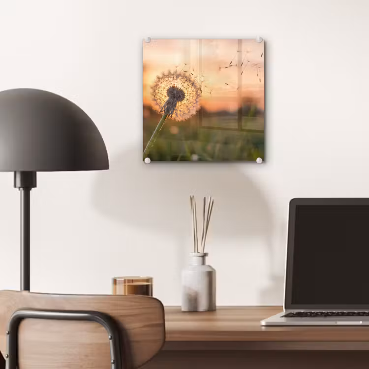Paardenbloem - Zonsondergang - Veld plexiglas 5mm klein -sfeer6