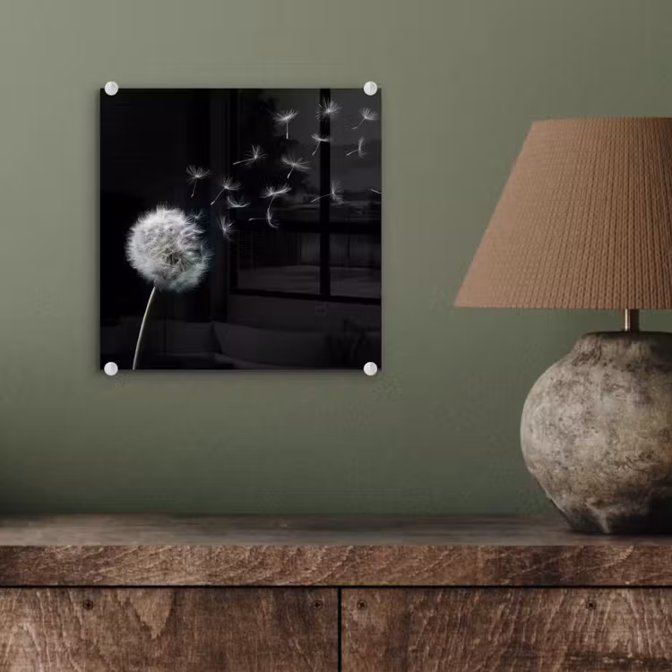 Paardenbloem - Zwart - Natuur plexiglas 5mm klein -sfeer3