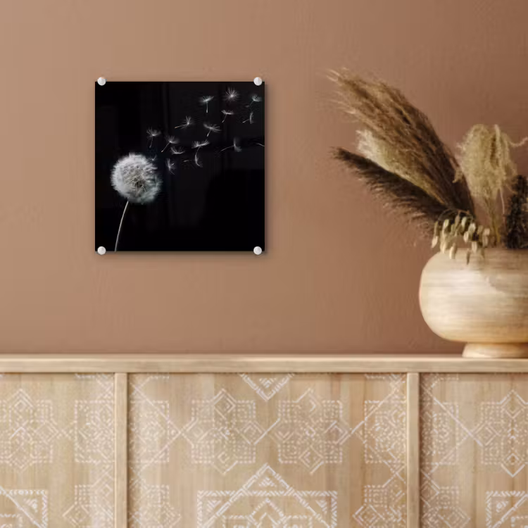 Paardenbloem - Zwart - Natuur plexiglas 5mm klein -sfeer5