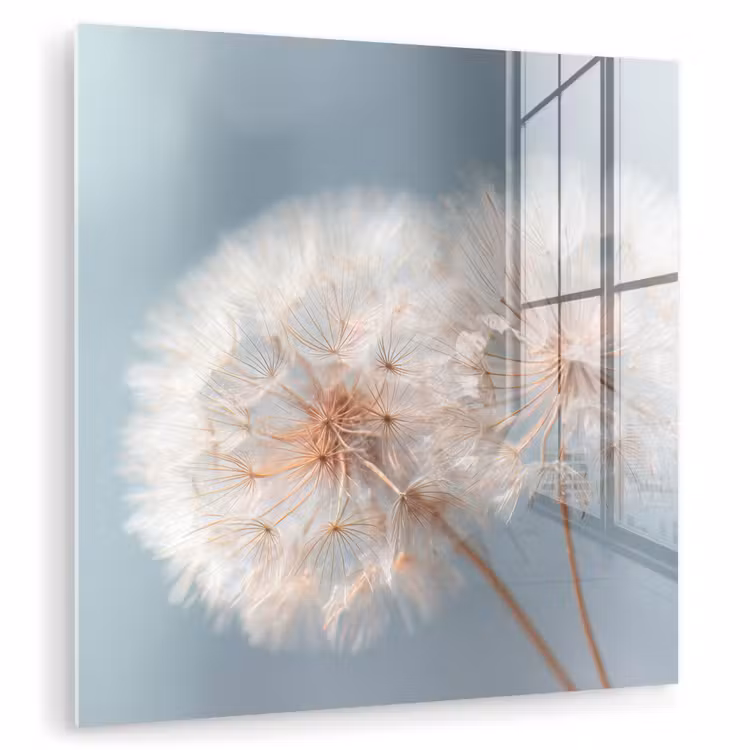 Paardenbloemen - Pluisjes - Wit plexiglas 5mm klein -zzzproduct_nieuw