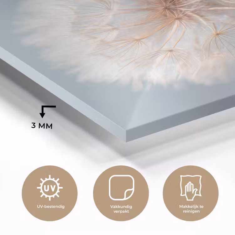 Paardenbloemen - Pluisjes - Wit plexiglas 5mm klein -sfeer2