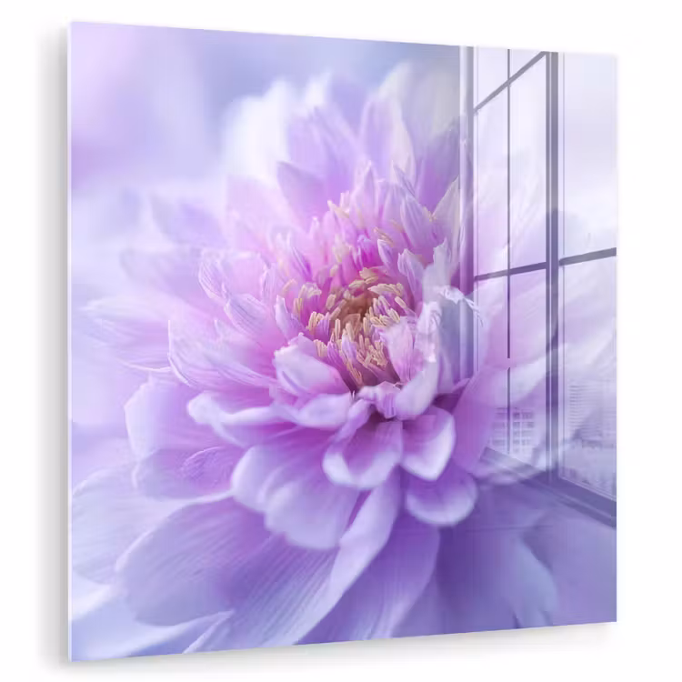 Paars - Dahlia - Dromerig plexiglas 5mm klein -zzzproduct_nieuw